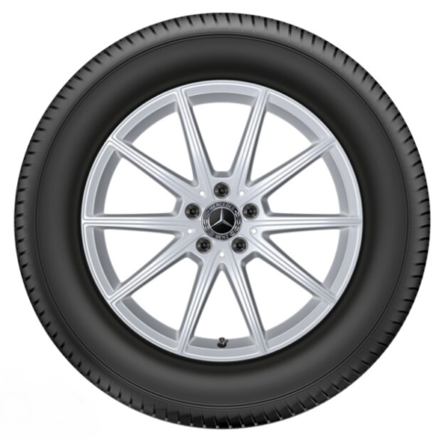 Cerchio 19" 10 razze - A16740104007X45
