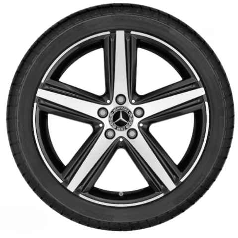 Cerchio 19" 5 razze - A17740114007X23